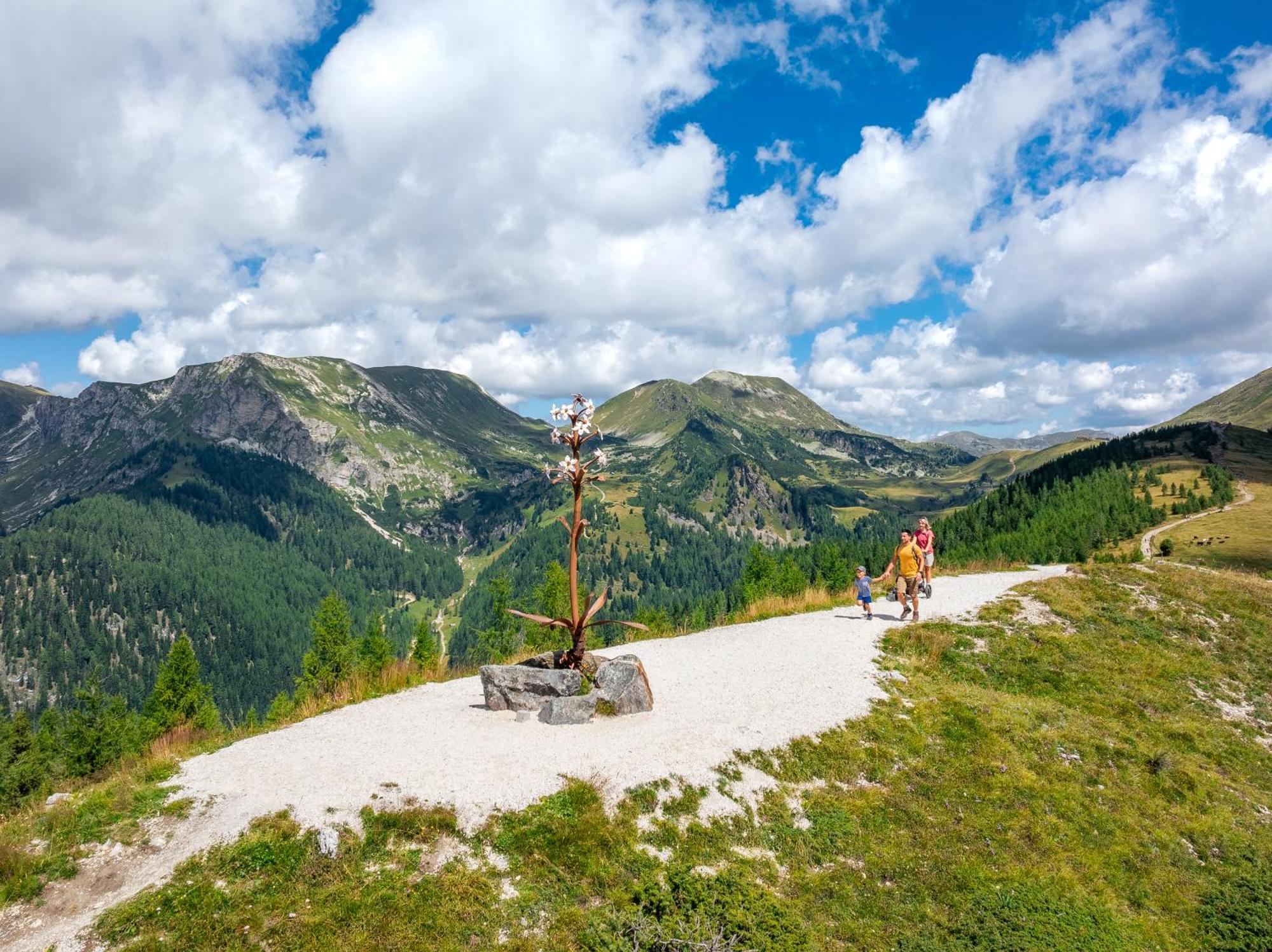 Residence Alba Montis Bad Kleinkirchheim Luaran gambar